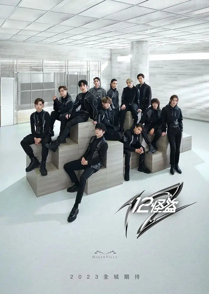 《12怪盗》全集高清完整版在线观看与剧情解析