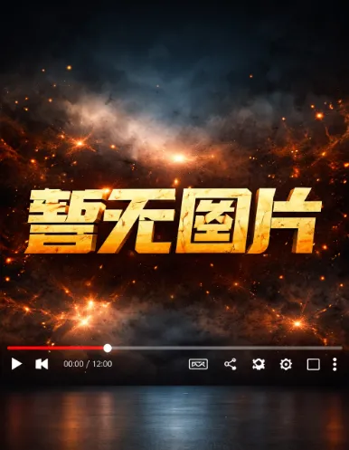 英超 莱斯特城vs布伦特福德20250222