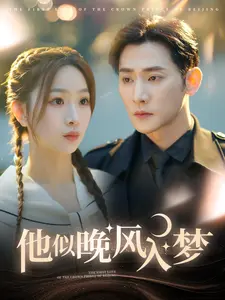 《他似晚风入梦》全集高清完整版在线观看与剧情解析