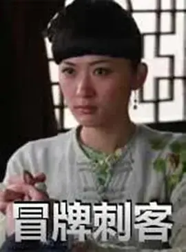 《冒牌刺客》全集高清完整版在线观看与剧情解析