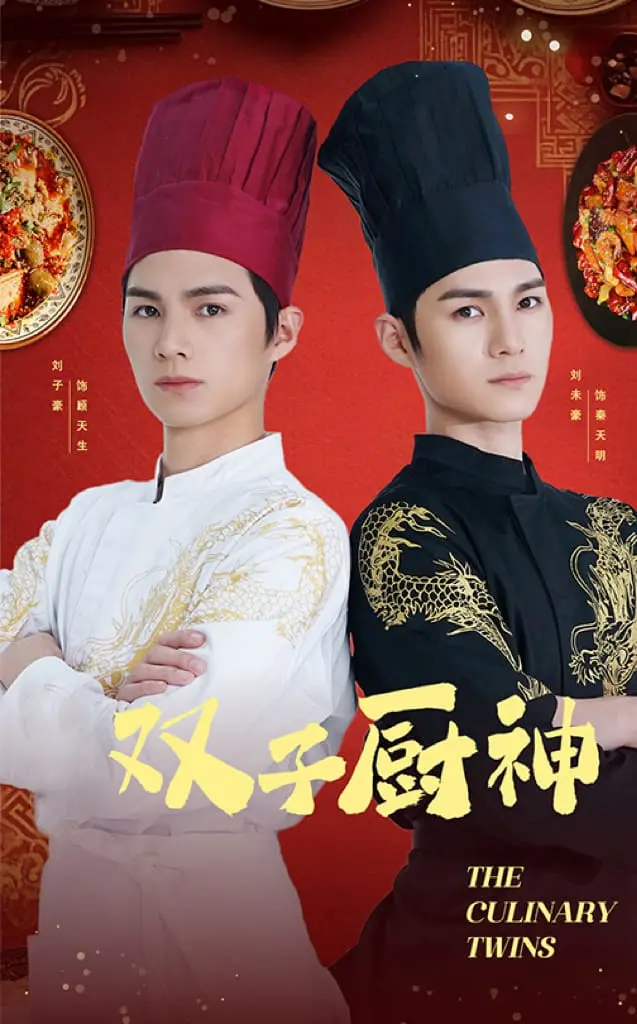 《双子厨神》全集高清完整版在线观看与剧情解析