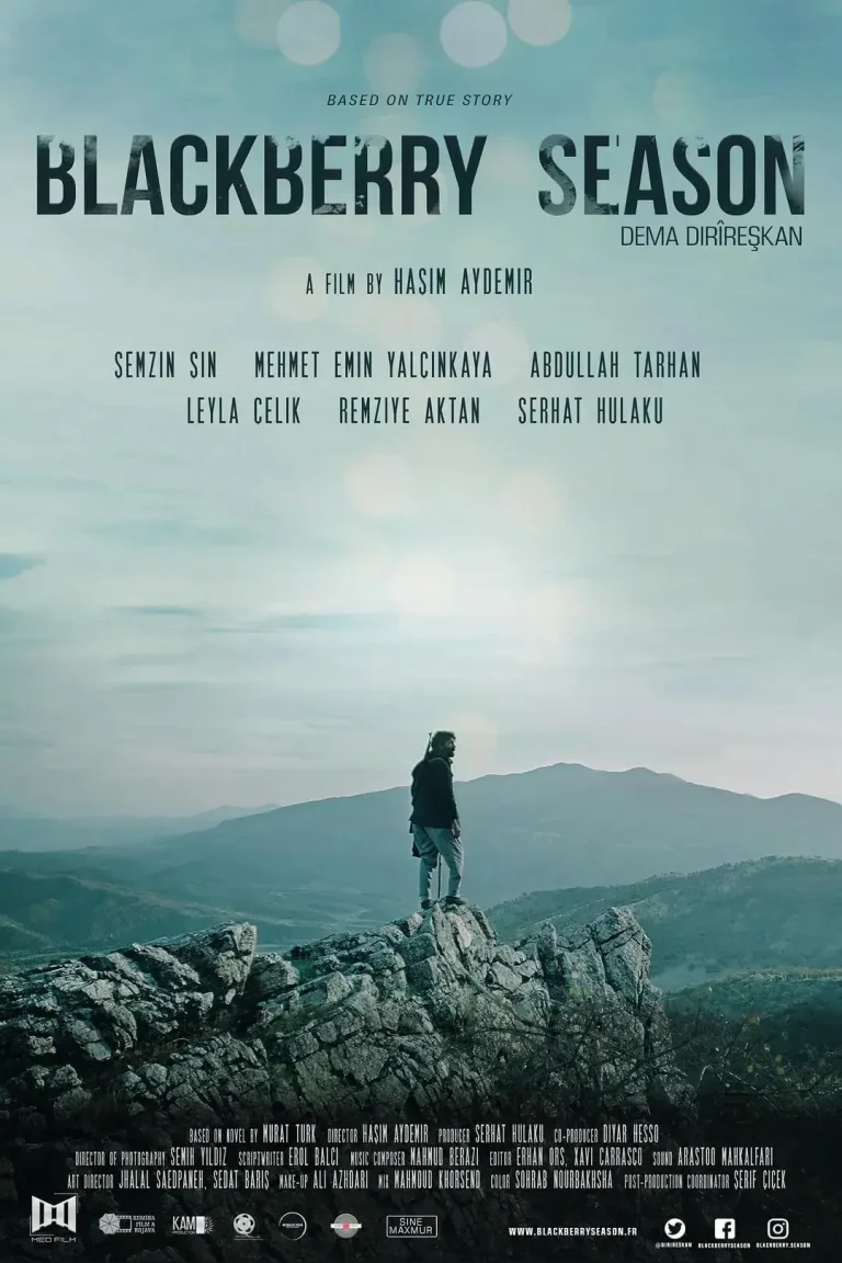 《库德行动》全集高清完整版在线观看与剧情解析