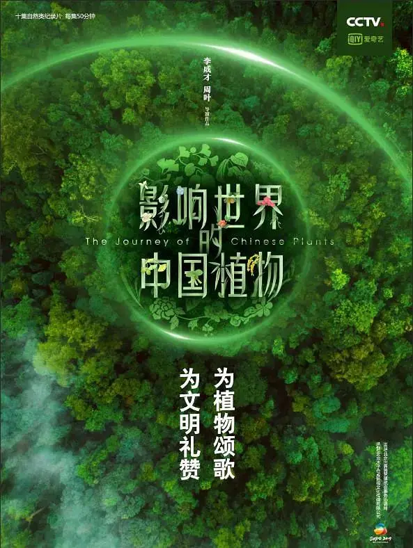 《影响世界的中国植物》全集高清完整版在线观看与剧情解析