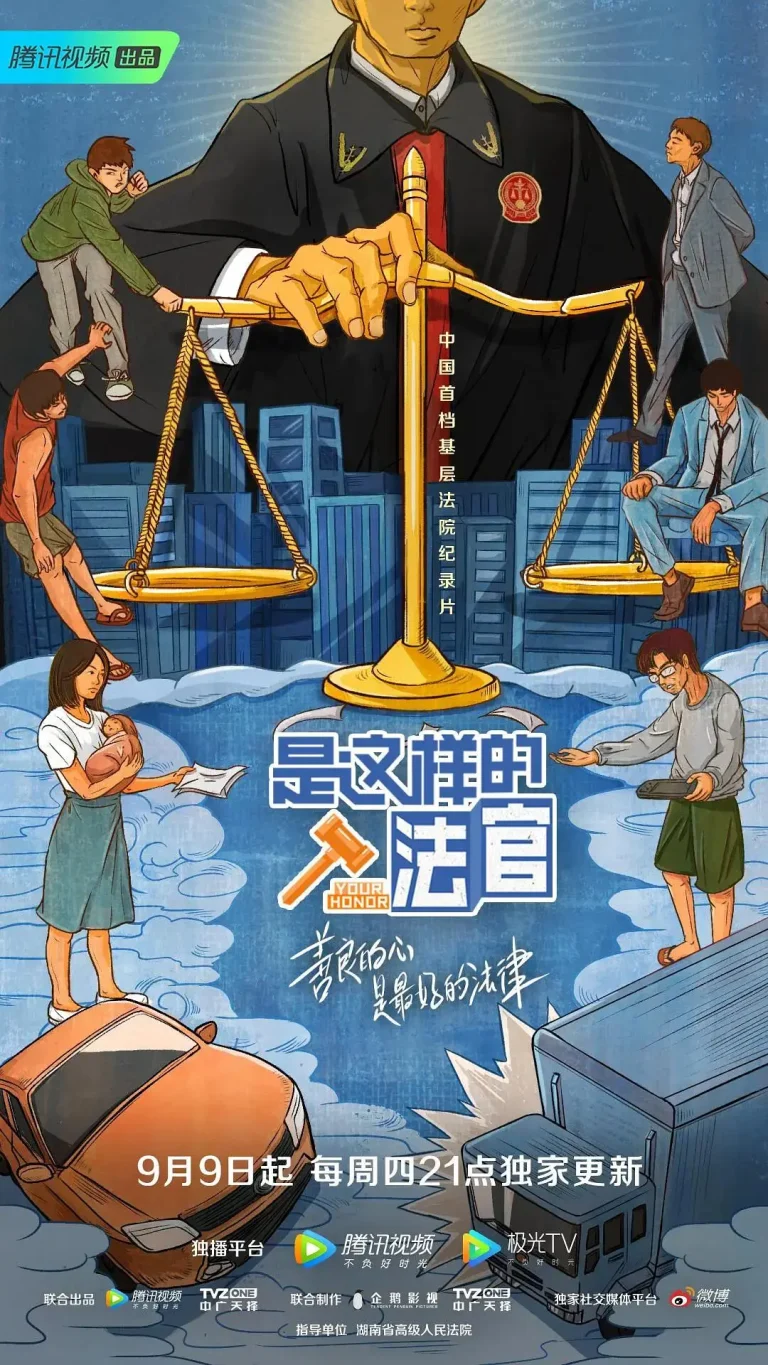 《是这样的，法官》全集高清完整版在线观看与剧情解析