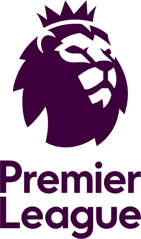 英超 狼队vs托特纳姆热刺20250413