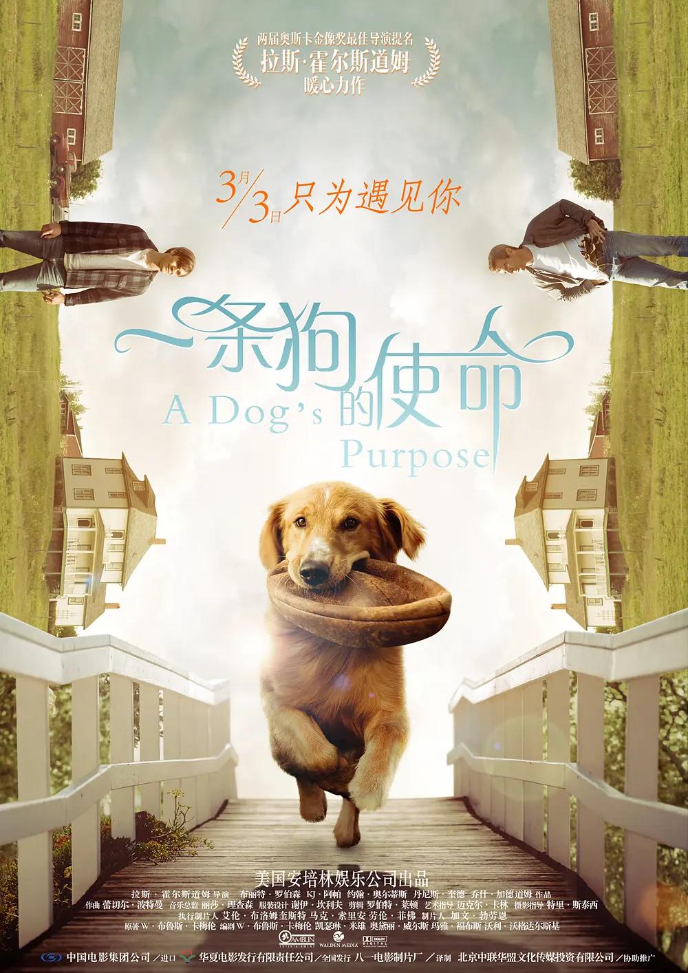 伦理片电影在线观看(😢)