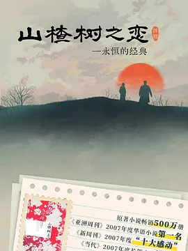 山楂树之恋2025