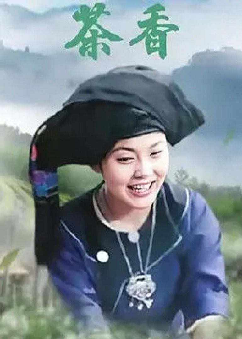 茶香2012