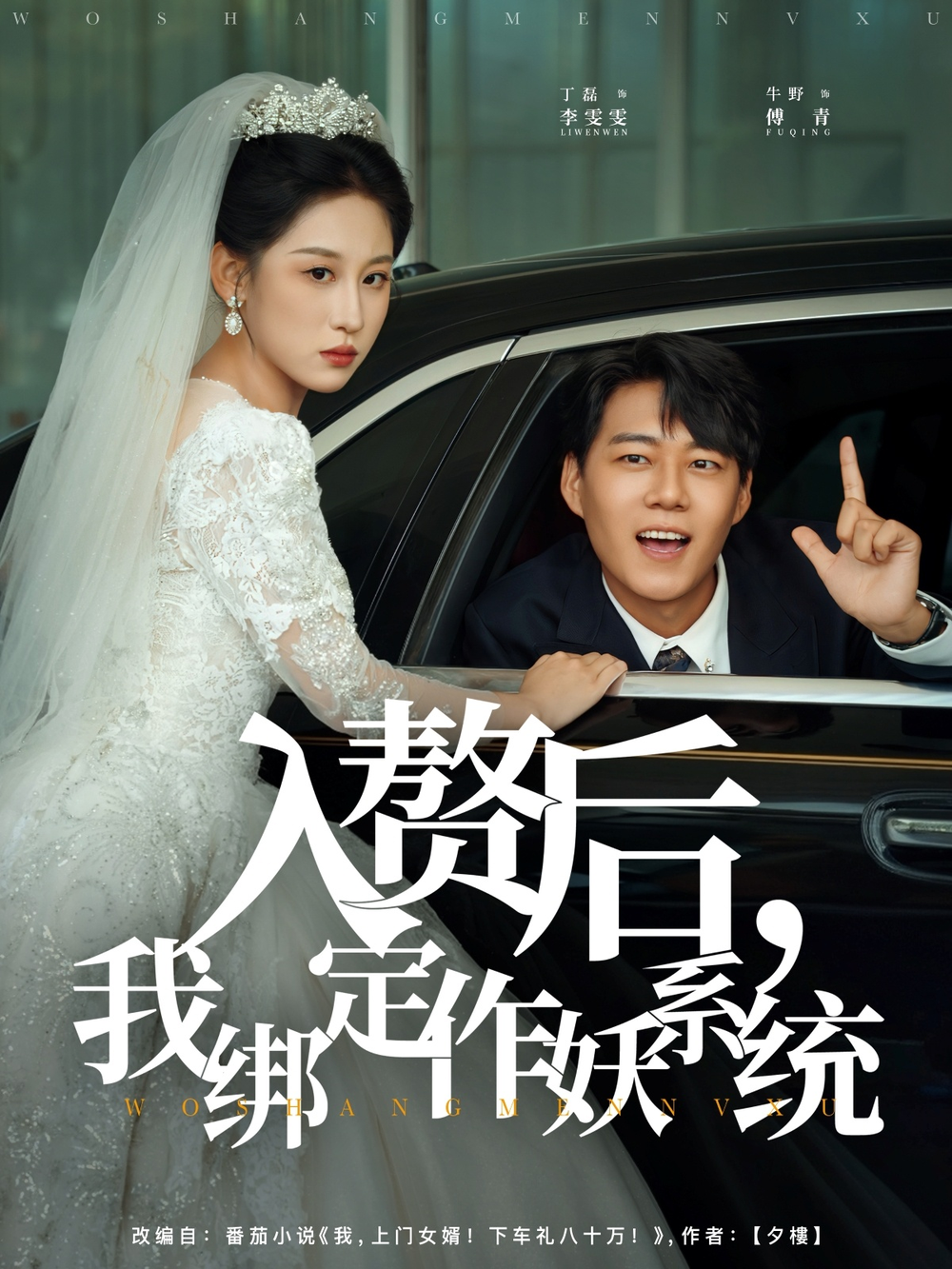 入赘后我绑定作妖系统
