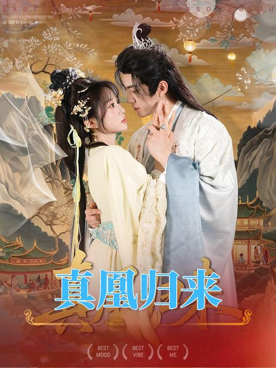 真凰归来